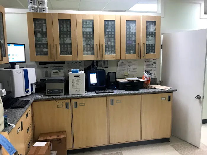 Pet Clinic Picture 2