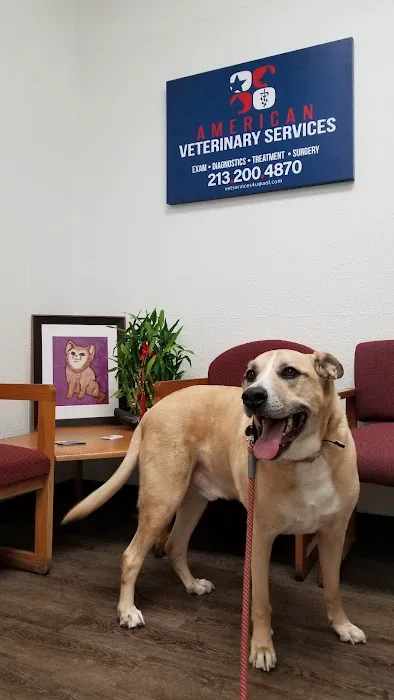 Pet Clinic Picture 7