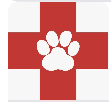 Pet Clinic Picture 5