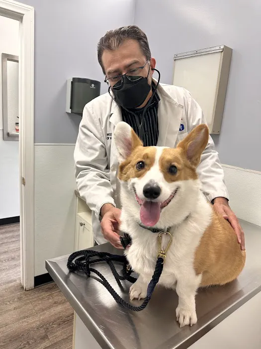 American Veterinary Services Picture 2