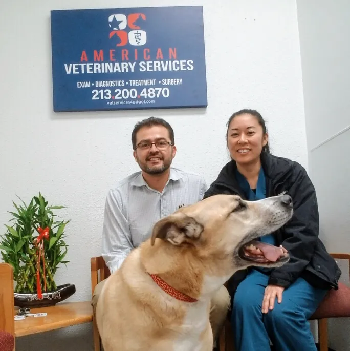 American Veterinary Services Picture 10