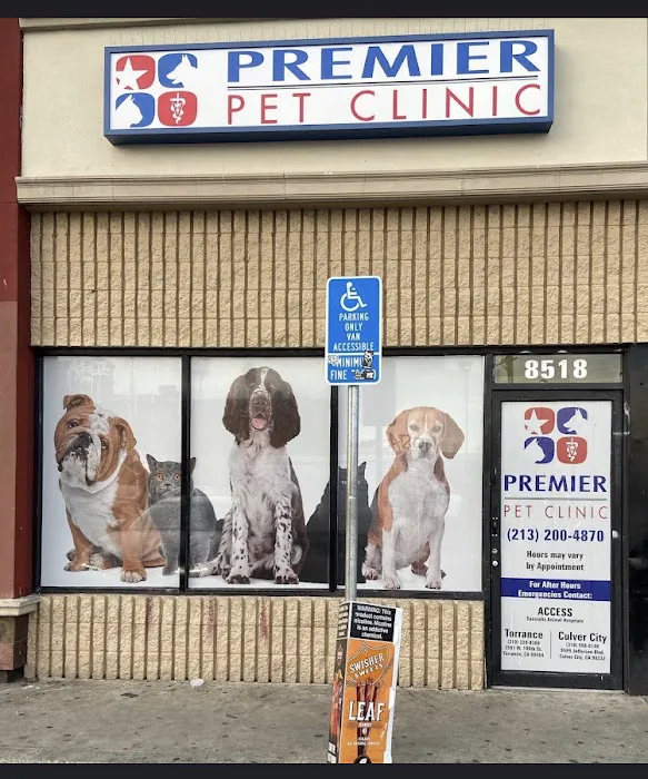 American Veterinary Services Picture 3