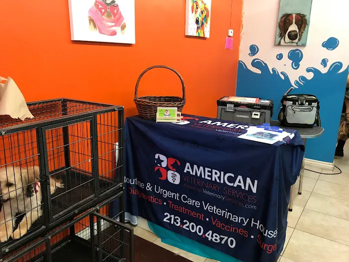 American Veterinary Services Picture 8