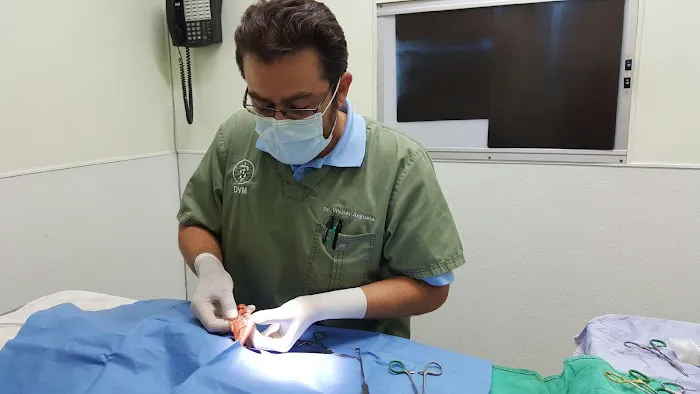 American Veterinary Services Picture 1