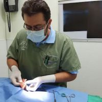 American Veterinary Services ico
