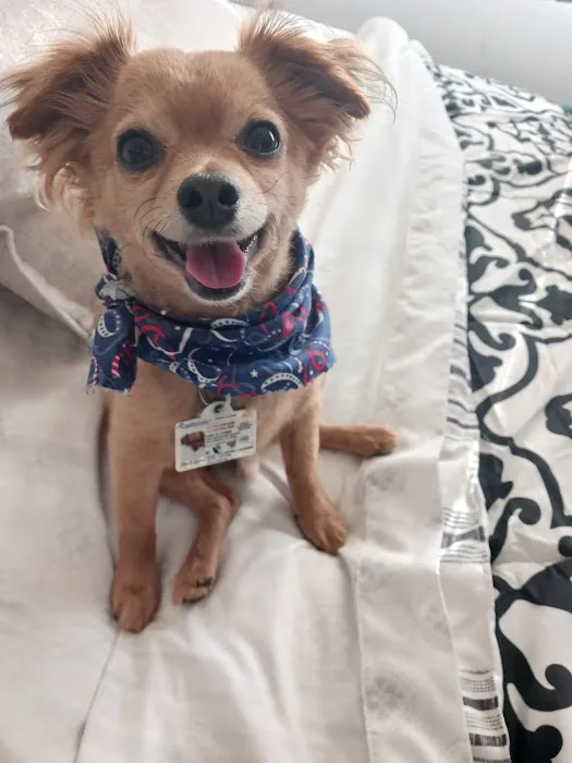 Airport Cities Animal Hospital Picture 6