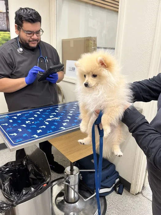 Vetco Vaccination Clinic Picture 4
