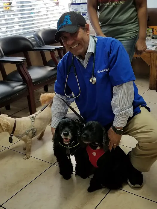 Fox Hills Animal Hospital Picture 2