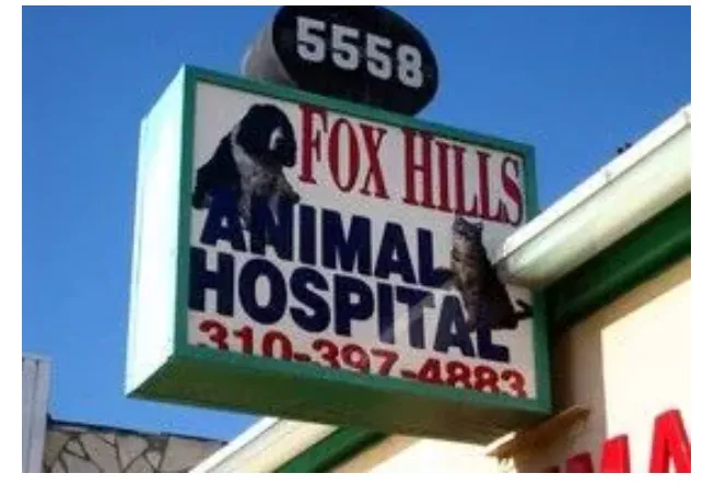 Fox Hills Animal Hospital Picture 7