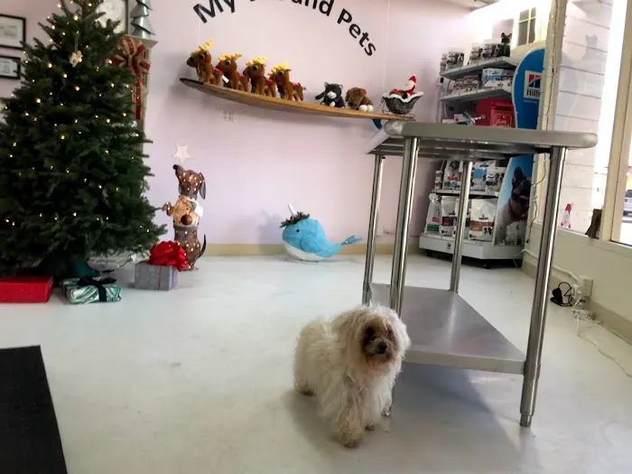 My Vet and Pets Drive-Thru Veterinary Clinic Picture 4