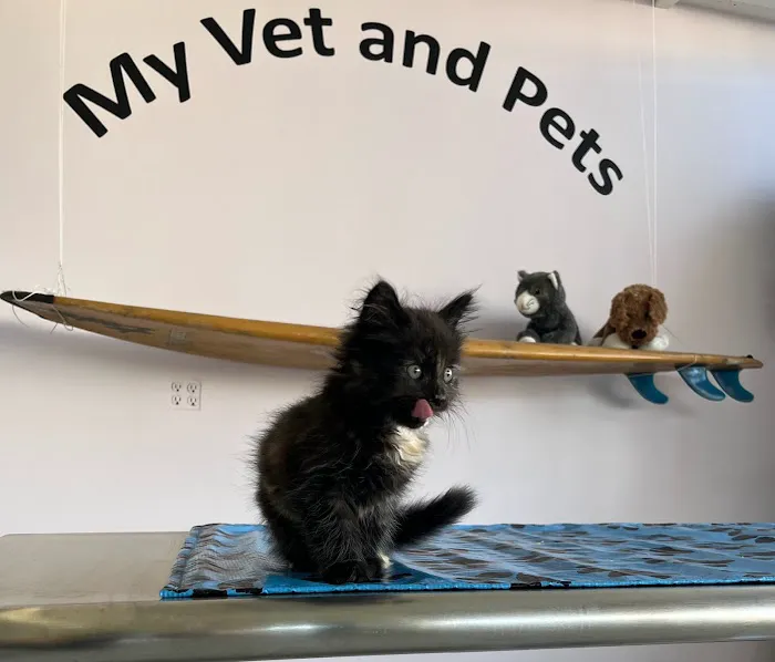 My Vet and Pets Drive-Thru Veterinary Clinic Picture 9