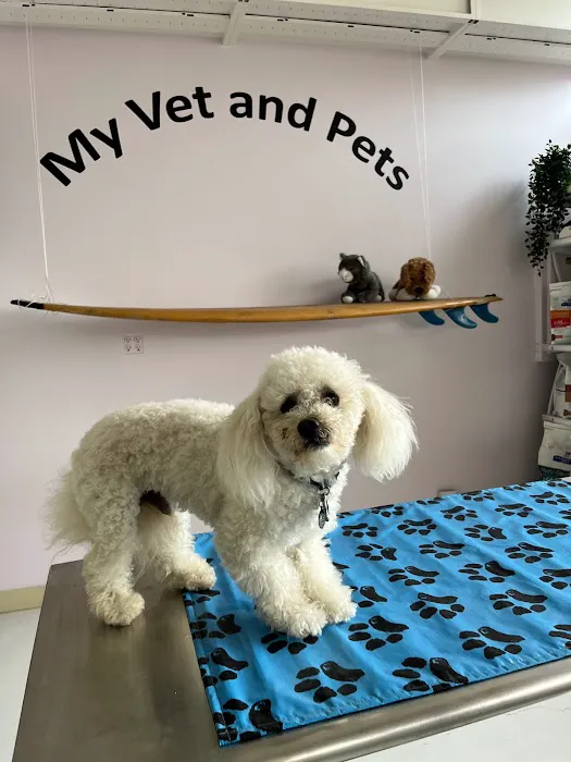 My Vet and Pets Drive-Thru Veterinary Clinic Picture 5
