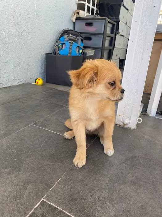 Florence Pet Clinic Picture 10