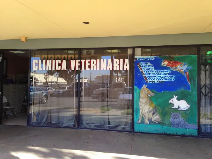 Florence Pet Clinic Picture 3