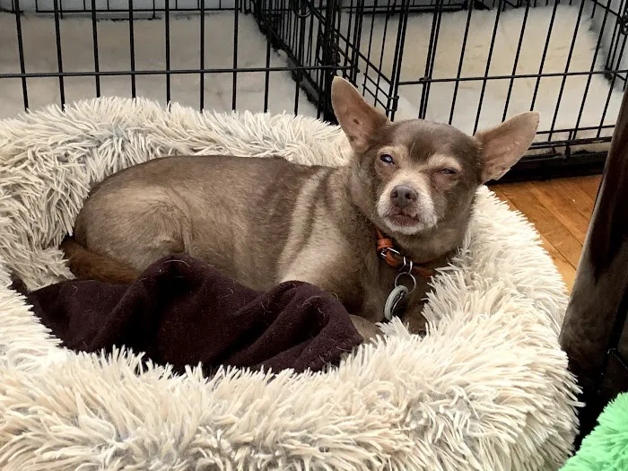 Overland Veterinary Clinic Picture 5