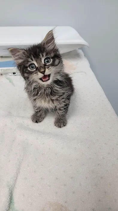 Overland Veterinary Clinic Picture 1
