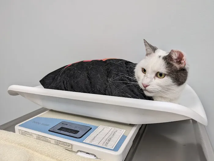 Overland Veterinary Clinic Picture 10