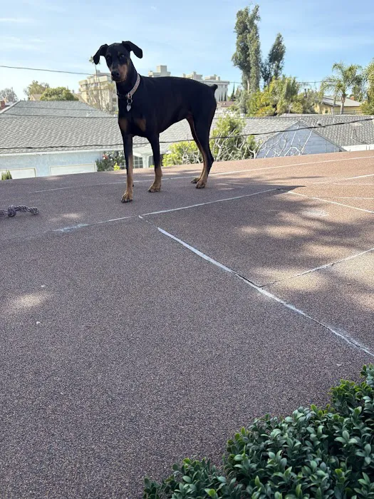 Sepulveda Animal Hospital Picture 8