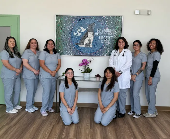 Pasadena Veterinary Urgent Care Picture 7