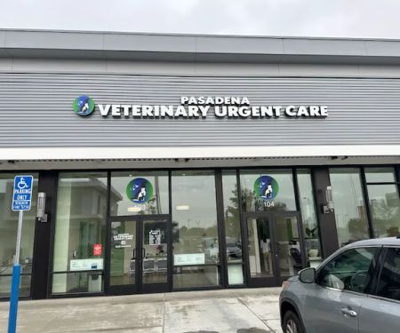 Pasadena Veterinary Urgent Care