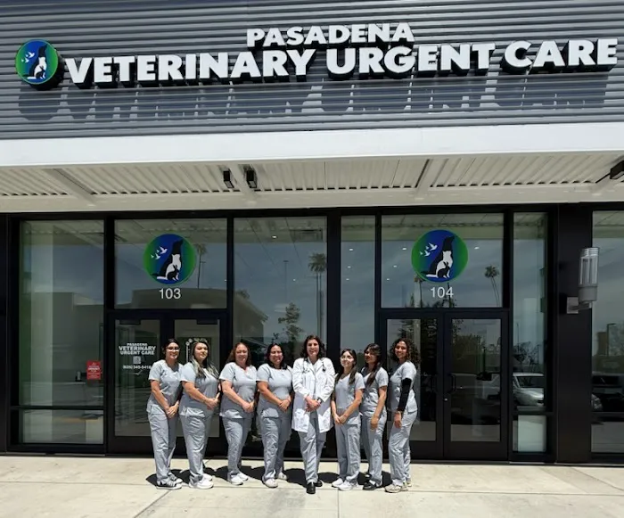 Pasadena Veterinary Urgent Care Picture 5