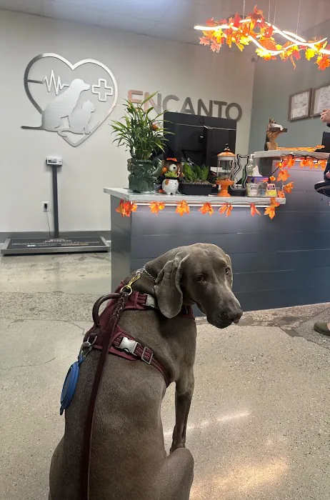Encanto Animal Hospital Picture 8