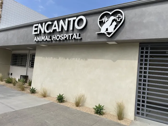 Encanto Animal Hospital Picture 4