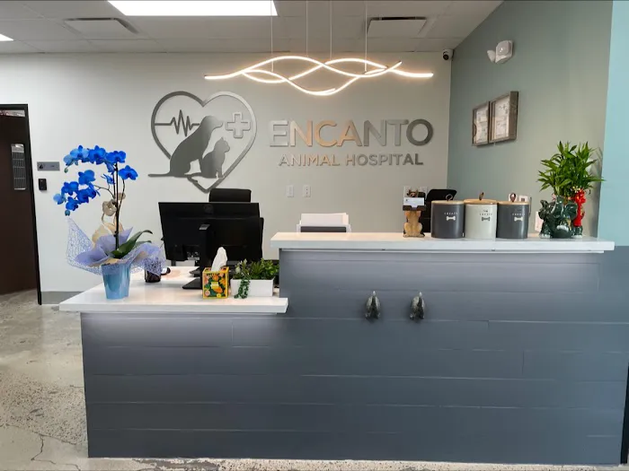 Encanto Animal Hospital Picture 3