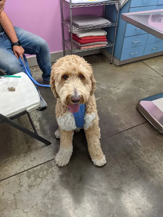 Veterinary Healthcare Center Picture 10