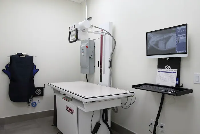 BeWell Animal Hospital Picture 6