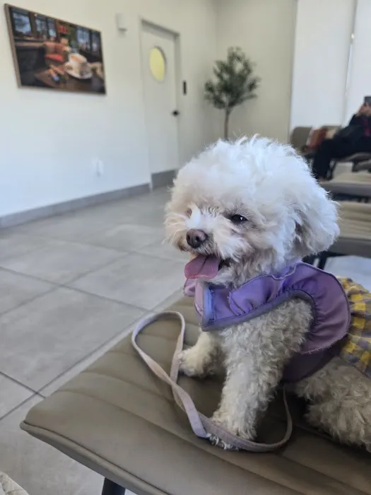 BeWell Animal Hospital Picture 8