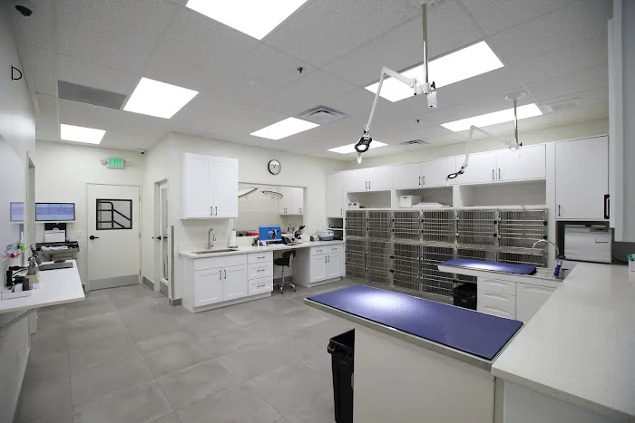 BeWell Animal Hospital Picture 3