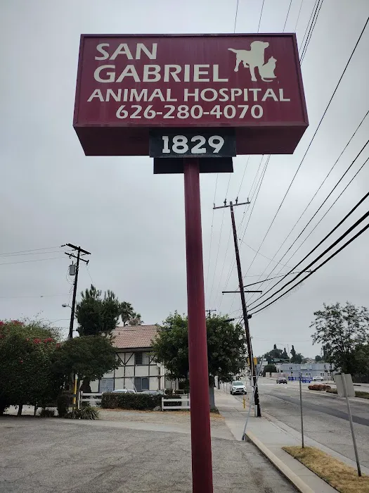 San Gabriel Animal Hospital Picture 1