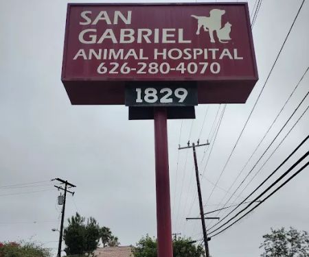 San Gabriel Animal Hospital
