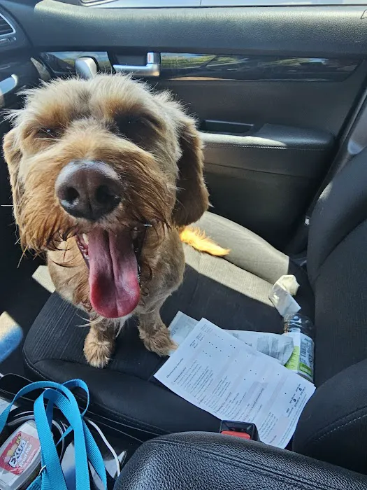 VCA Community Companion Animal Hospital Picture 10