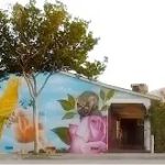 Temple City Animal Hospital
