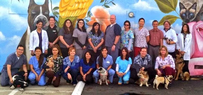 Temple City Animal Hospital Picture 4