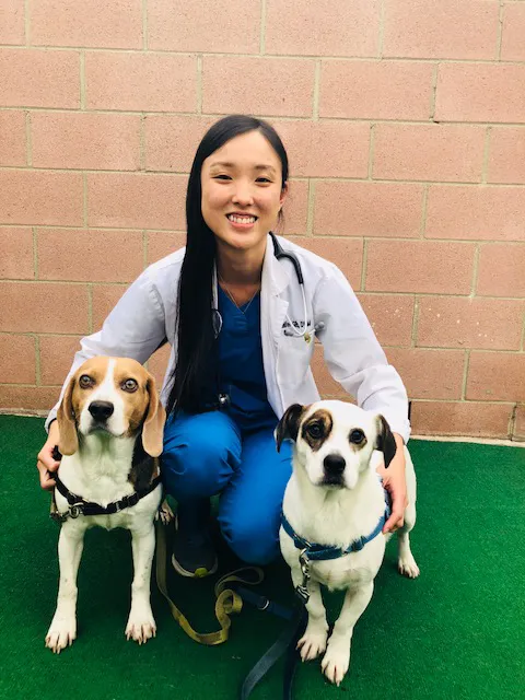 Temple City Animal Hospital Picture 5