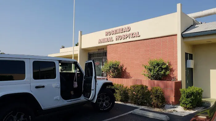 Rosemead Animal Hospital Picture 1