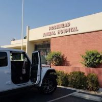 Rosemead Animal Hospital ico