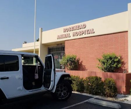 Rosemead Animal Hospital
