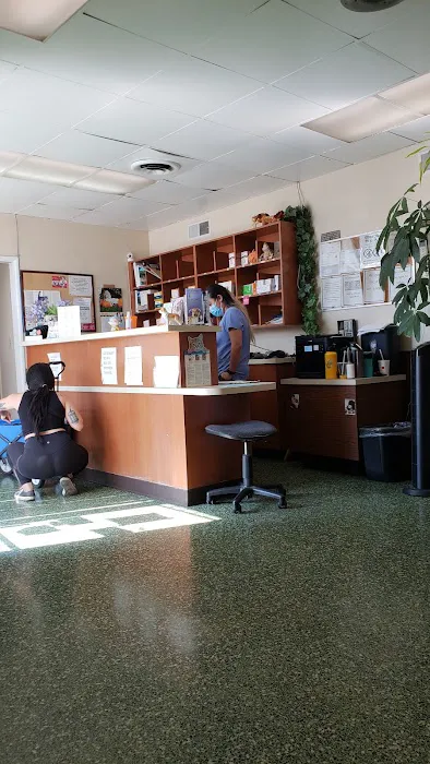 Rosemead Animal Hospital Picture 6