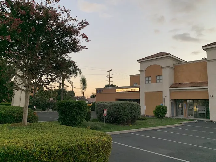 Pet Care Animal Hospital Picture 3