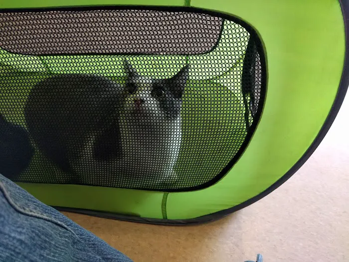 Pet Care Animal Hospital Picture 9