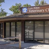 Los Altos Veterinary Clinic ico