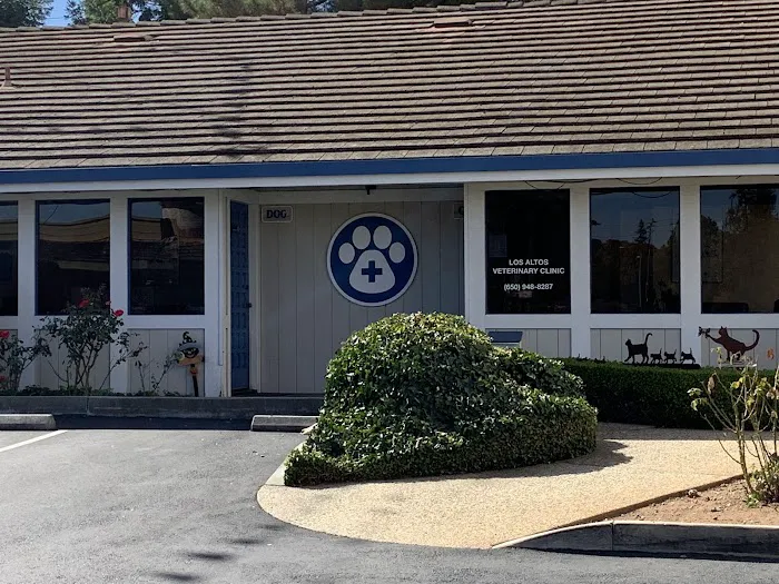Los Altos Veterinary Clinic Picture 9