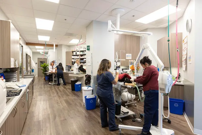 Los Altos Veterinary Clinic Picture 2