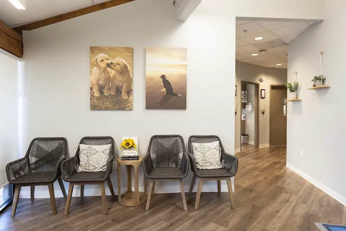 Los Altos Veterinary Clinic Picture 3