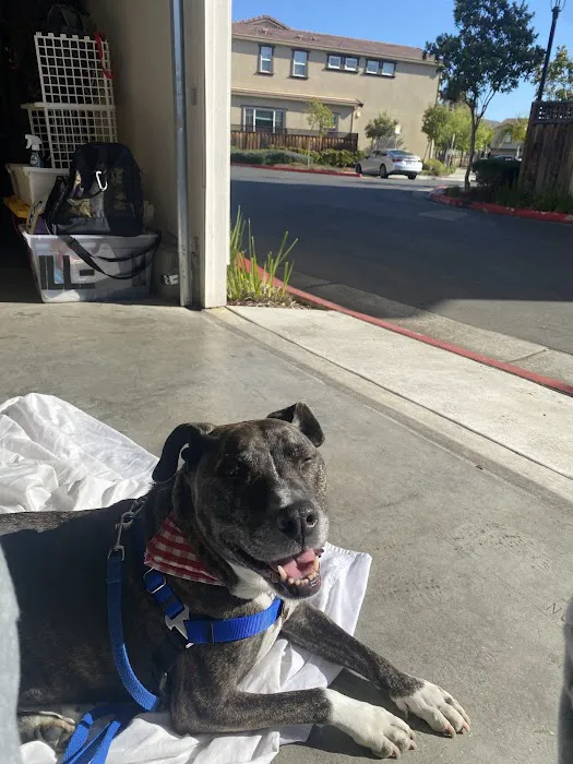 Alpine Animal Hospital Picture 6