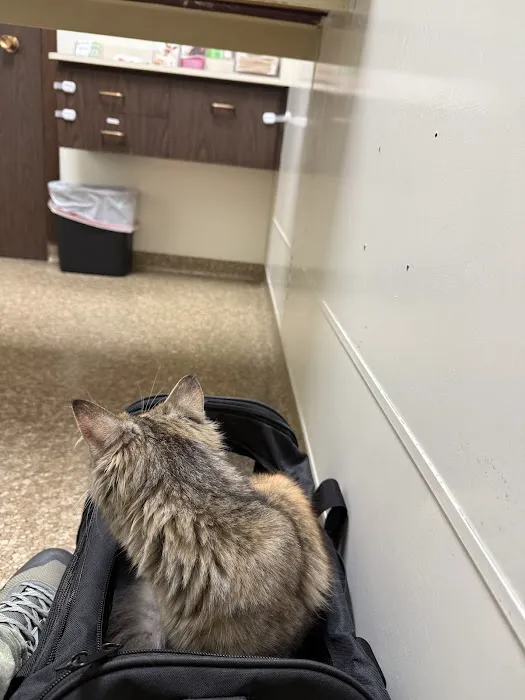 Alpine Animal Hospital Picture 4
